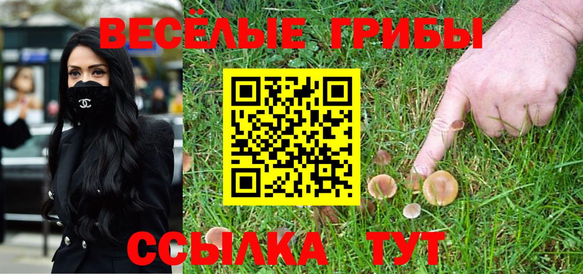 наркота  Галлюциногенные грибы мицелий  Вход с VPN  Волжский 